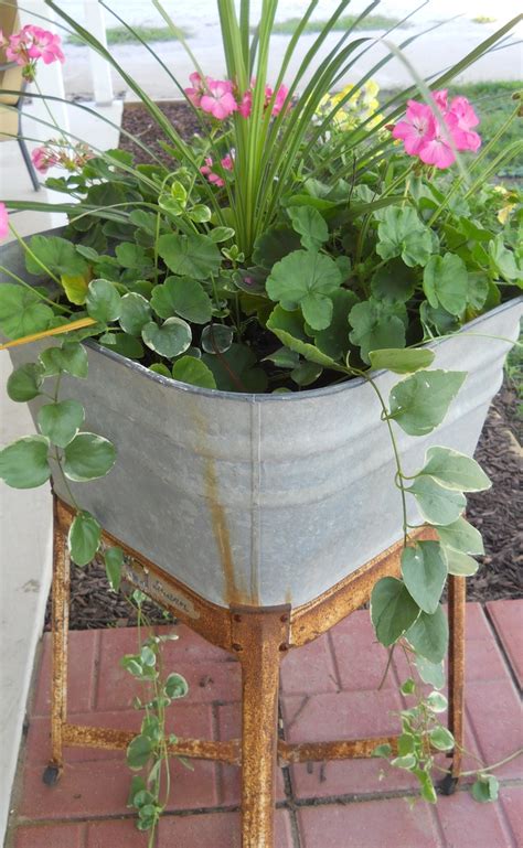 12 Best Images About Planting In Galvanized Containers On