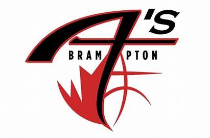Brampton Basketball Logos Hockey Sportslogos Chris Unveiled