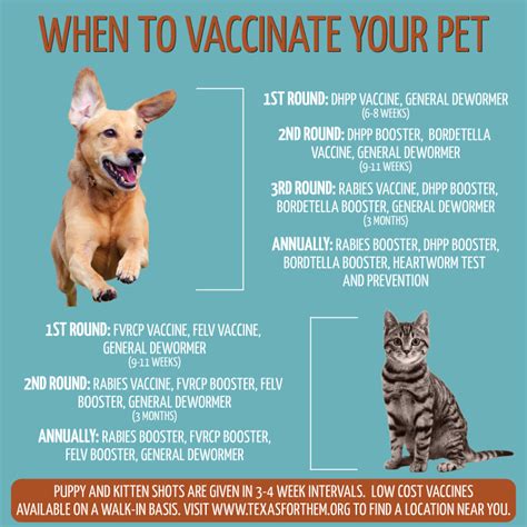 The shelter's address is 110 wl walden dr. August is National Immunization... - Seidl Veterinary ...