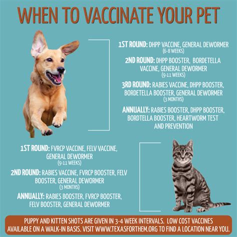 How much do puppy shots cost? August is National Immunization... - Seidl Veterinary ...