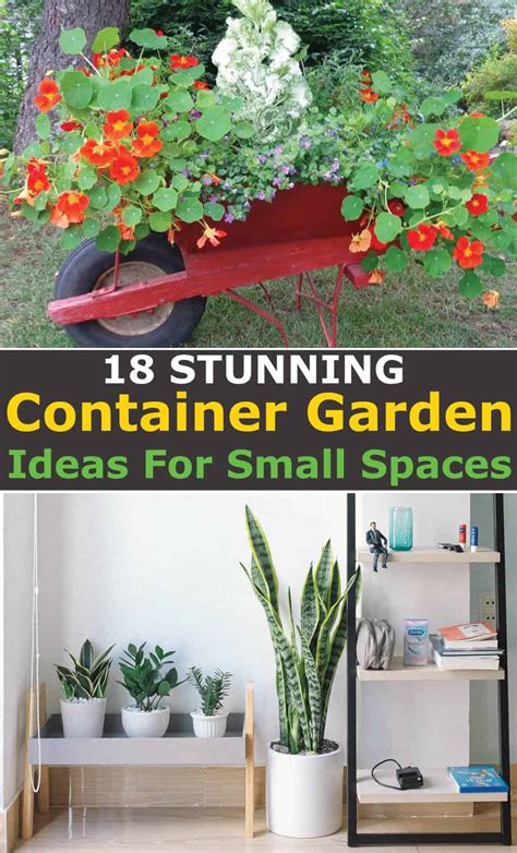 18 Stunning Container Gardening Ideas For Small Spaces Hort Zone