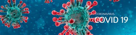 Interactive tools, including maps, epidemic curves and other charts and graphics, with downloadable data. Médica Sur: ¿Qué es COVID 19 (Corona Virus Disease 19)?