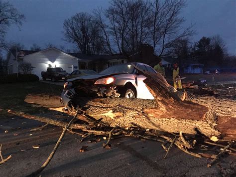 Car Hits Downed Tree On Road During High Winds