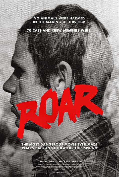 Roar 1981 Re Release Trailer And 6 Posters The Entertainment Factor