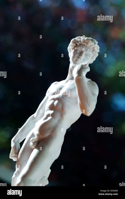 Statue Of David Masterpiece Of Renaissance Sculpture Michelangelo
