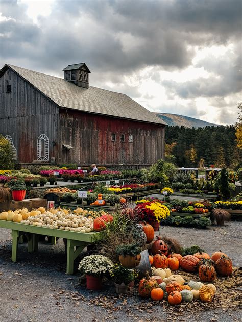 All You Need To Know About Vermont Fall Foliage Shannon Shipman