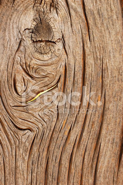 Wood Stock Photos - FreeImages.com