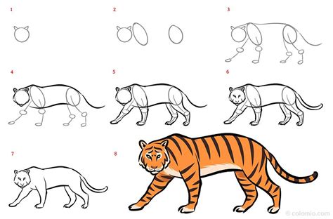 Od T N Mu En Taiko B Icho Step By Step How To Draw A Tiger Vid L