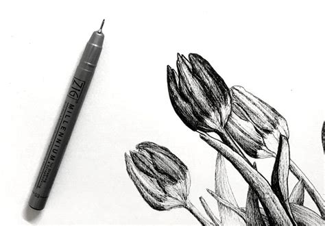 How To Draw Any Flower With Pen And Ink Ran Art Blog In 2023 Flower
