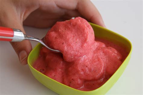 5 Minute Strawberry Sherbet In The Food Processor — Shockingly Delicious