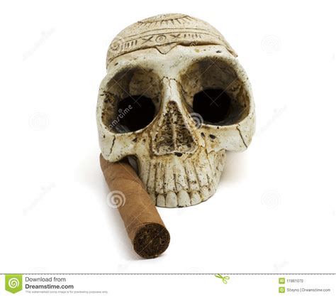 Skull And Cigar Stock Photo Image 11861070