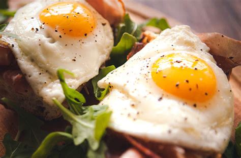 Complete proteins - Definition of Complete proteins