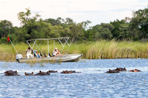 Desert Delta Safaris Botswanas Best Safari Portfolio