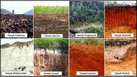 Mengenali Jenis Jenis Tanah Di Indonesia Klik Geografi Photos Porn Sex Picture