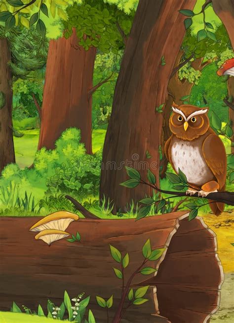 Cartoon Summer Scene With Deep Forest And Bird Owl Nobody On Scene