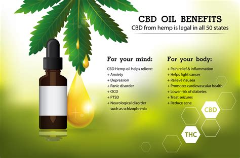 Cbd Oil Benefits Uses Side Effects And Product Types Dr Axe Can Be