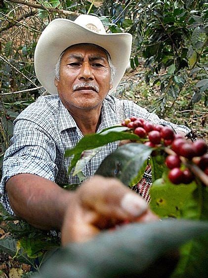 Coffee Farmer Clay Enos Photography Coffee Bean Tree Ethical