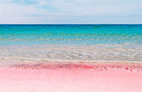 The Science Behind Bermudas Pink Sand Beaches Viva