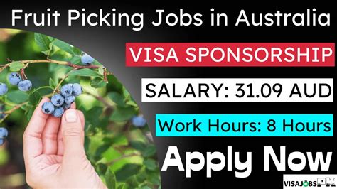 Fruit Picking Jobs In Australia With Visa Sponsorship