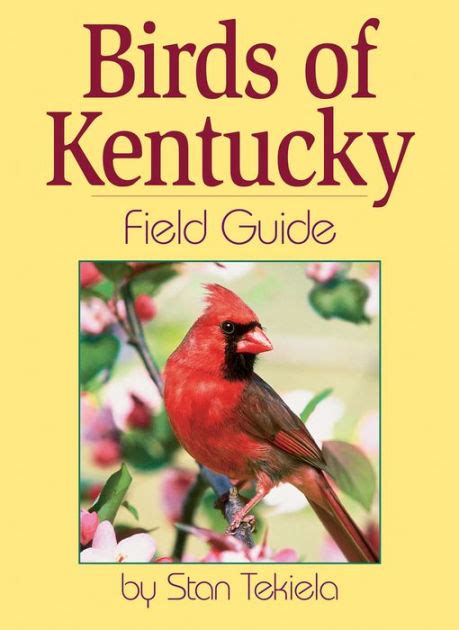 Check spelling or type a new query. Birds of Kentucky Field Guide by Stan Tekiela, Paperback | Barnes & Noble®