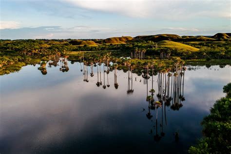 Llanos Orientales Colombias Wild East
