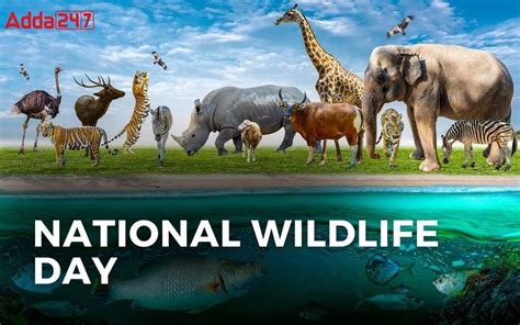 National Wildlife Week 2023 Dates Theme Purpose And History
