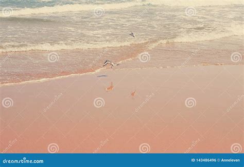 Atlantic Ocean Coast In Europe Stock Photo - Image of luxury, horizon: 143486496