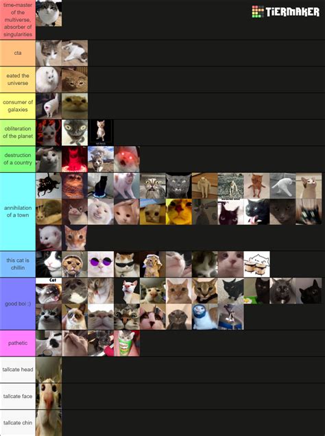 Powerscaling Cat Memes Tier List Community Rankings Tiermaker