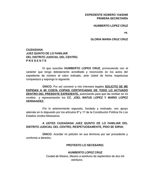 Solicitud Copia Certificada Ante Juzgado Civil Expediente NÚmero 134