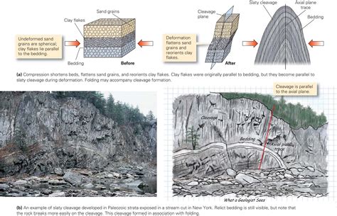 Learning Geology Folds And Foliations