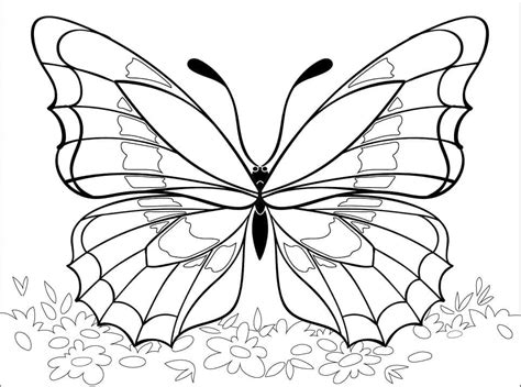 Dibujos De Hermosa Mariposa Para Colorear Para Colorear Pintar E