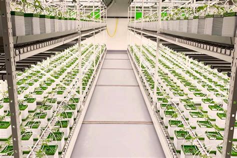 Indoor Vertical Farming Grow Rack Systems Montel Inc