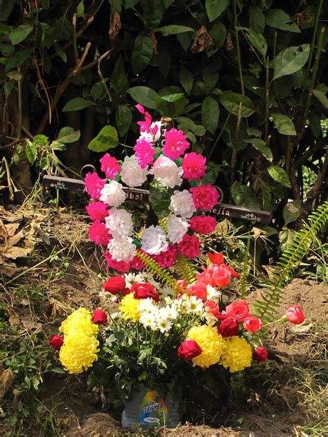 We did not find results for: Flowers for the dead - AntiguaDailyPhoto.Com