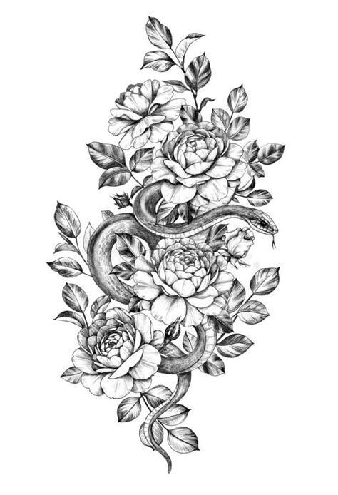 Hand drawn floral composition with dog rose flowers, leaves and flying butterfly isolated on white background. Hand Drawn Monochrome Snake Among Roses Stock Illustration ...