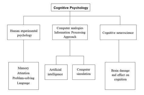 Cognitive Approach In Psychology