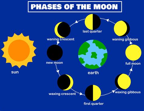 Phases Of The Moonlunar Phaseearth And Sunluna The Lunar Cycle