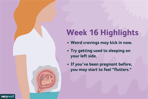 16 Weeks Pregnant