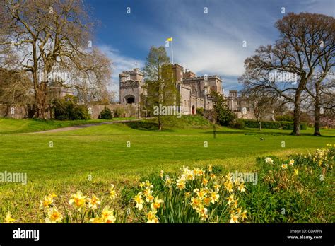 Spring Daffodils At Powderham Castle Home To The Earls Of Devon In
