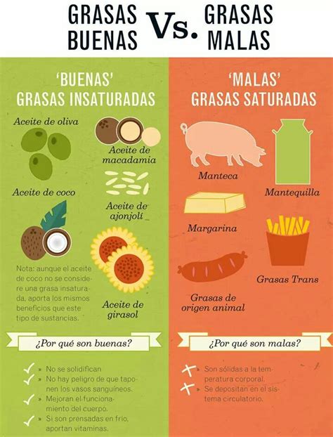 grasas buenas vs grasas malas nutrition tips health and nutrition healthy tips healthy