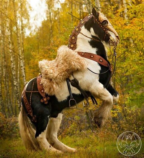 The 25 Best Medieval Horse Ideas On Pinterest Horse Armor Pretty