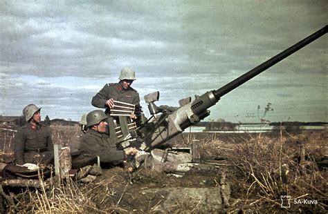 World War Ii In Color Finnish Bofors Aa Gun In Position