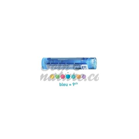 Elle donne à la peau une apparence « bosselée. Arnica Montana 4CH 5CH 7CH 9CH 15CH 30 CH Boiron Granules ...