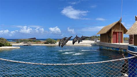Sea Life Park Now Open From Friday To Sunday