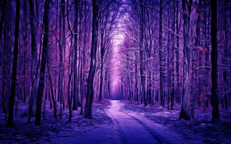 1920x1200 Purple Winter Forest 1200p Wallpaper Hd Nature 4k Wallpapers