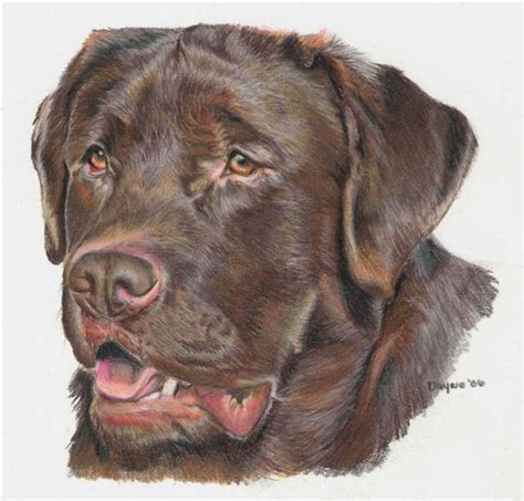 Get some colored pencils with soft pigment, as these pencils will leave a stronger impression on the drawing surface. colored pencil artwork - Google Search | Art | Pinterest ...