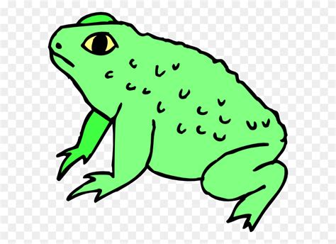 Warty Frog Clip Art Bullfrog Clipart Stunning Free Transparent Png