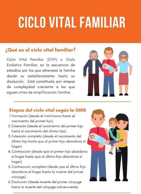 Residente Médico Familiar 5 Ciclo Vital Y Teoría Del Desarrollo Familiar