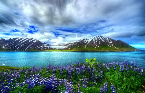 Landscape With Mountain Lake And Flowers Wallpapers Wallpaper Cave