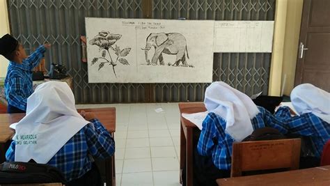 Detail Sketsa Gambar Flora Dan Fauna Koleksi Nomer 52