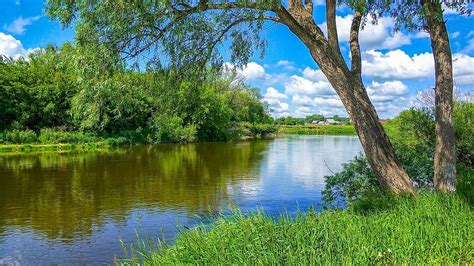 Free Download River Nature Creek Greens Willow Tree Grass Sky